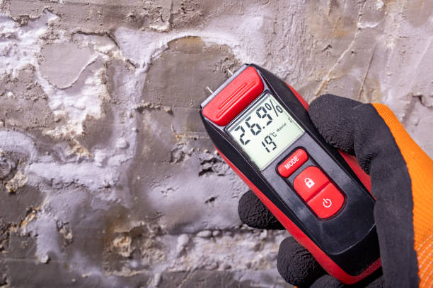 Mold Removal and Inspection in Cannelton, IN