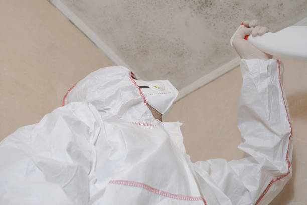 Best Certified Mold Removal  in Cannelton, IN